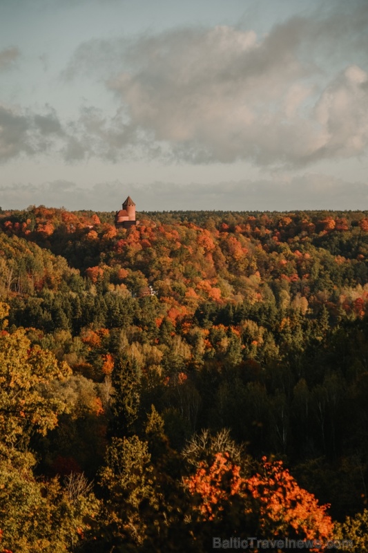 Sigulda var dižoties daudzveidīgām rudens ainavām pilsētā un tās apkārtnē 267587