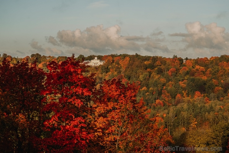 Sigulda var dižoties daudzveidīgām rudens ainavām pilsētā un tās apkārtnē 267589