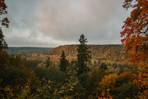 Sigulda var dižoties daudzveidīgām rudens ainavām pilsētā un tās apkārtnē 4