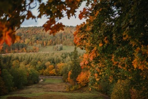 Sigulda var dižoties daudzveidīgām rudens ainavām pilsētā un tās apkārtnē 5