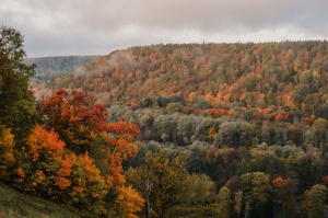 Sigulda var dižoties daudzveidīgām rudens ainavām pilsētā un tās apkārtnē 6