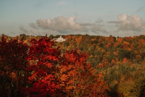 Sigulda var dižoties daudzveidīgām rudens ainavām pilsētā un tās apkārtnē 13