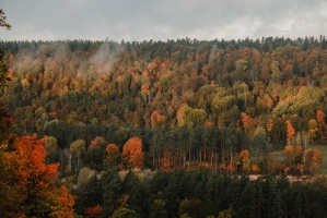 Sigulda var dižoties daudzveidīgām rudens ainavām pilsētā un tās apkārtnē 14