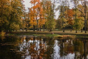 Sigulda var dižoties daudzveidīgām rudens ainavām pilsētā un tās apkārtnē 15