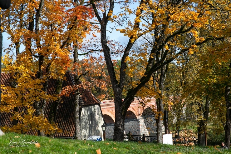 Kuldīgā ar bagātīgu tirdziņu, gardiem ēdieniem, dzērieniem un izklaidēm ikvienu apmeklētāju sagaidīja nozīmīgākais rudens pasākums – Hercoga Jēkaba ga 267616