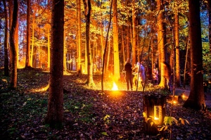 Vienkoču parkā norisinājās Uguns Nakts, kura mērķis ir vienu īso rudens dienu padarīt ilgāk gaišu, dot iespēju uzlādēt sevi ar sveču gaismu un siltumu 10