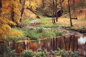 Gulbenē un tās apkārtnē rudens krāšņi izrotājis dabu, ļaujot ikvienam izbaudīt pasakainas ainavas 11