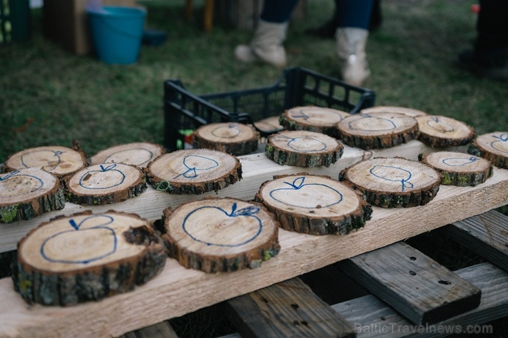 Jau astoto gadu Latvijas sulīgākais festivāls Dobelē pulcē novada un apkārtnes mājražotājus, stādaudzētājus, augļkopjus un interesentus 267713