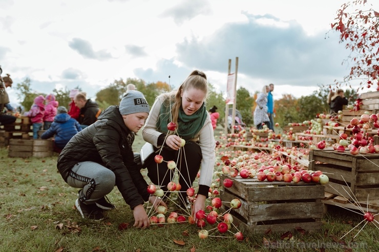 Jau astoto gadu Latvijas sulīgākais festivāls Dobelē pulcē novada un apkārtnes mājražotājus, stādaudzētājus, augļkopjus un interesentus 267725