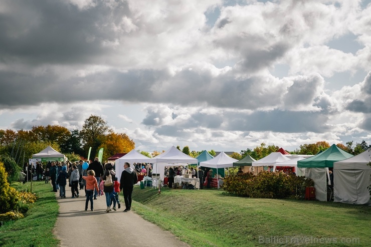 Jau astoto gadu Latvijas sulīgākais festivāls Dobelē pulcē novada un apkārtnes mājražotājus, stādaudzētājus, augļkopjus un interesentus 267730