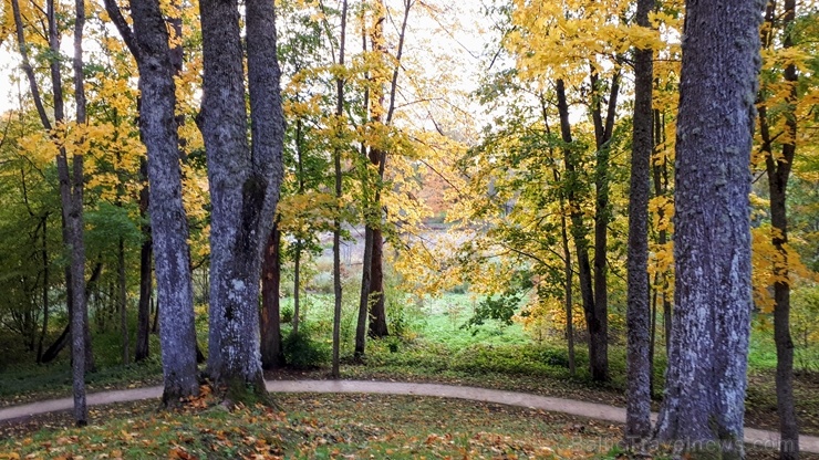 Preiļu pilsētu un parku ieskauj rudens zelts 267750