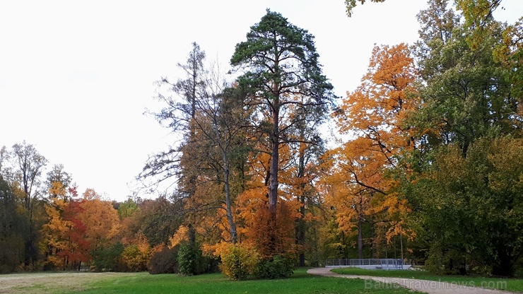 Preiļu pilsētu un parku ieskauj rudens zelts 267755