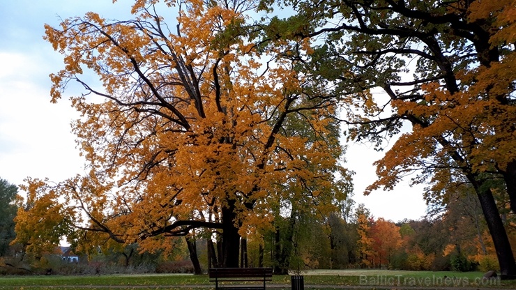 Preiļu pilsētu un parku ieskauj rudens zelts 267756