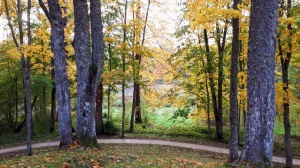 Preiļu pilsētu un parku ieskauj rudens zelts 4