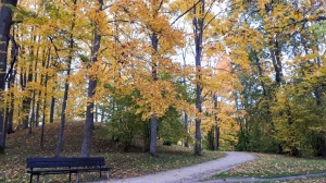 Preiļu pilsētu un parku ieskauj rudens zelts 6