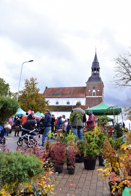 Simjūda tirgus Valmierā pulcē tirgotājus ar viduslaiku Livonijas labumiem 268211