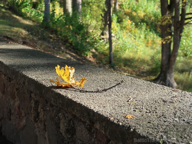 Dobelē par krāšņo rudeni priecājas ikviens 268402