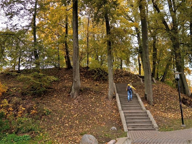 Dobelē par krāšņo rudeni priecājas ikviens 268414