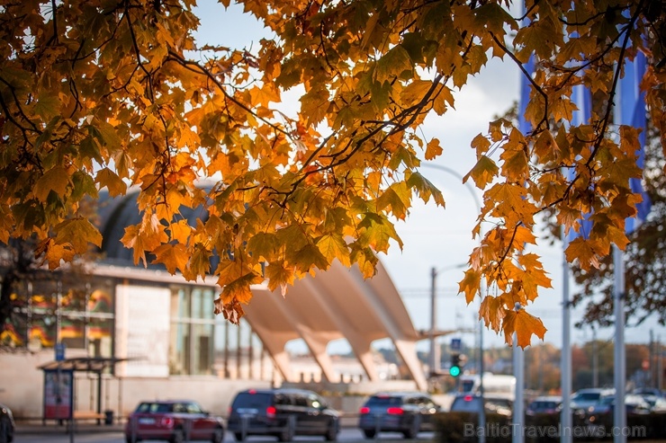 Jūrmalu ik dienu aizvien vairāk rotā rudenīgas nokrāsas 268443