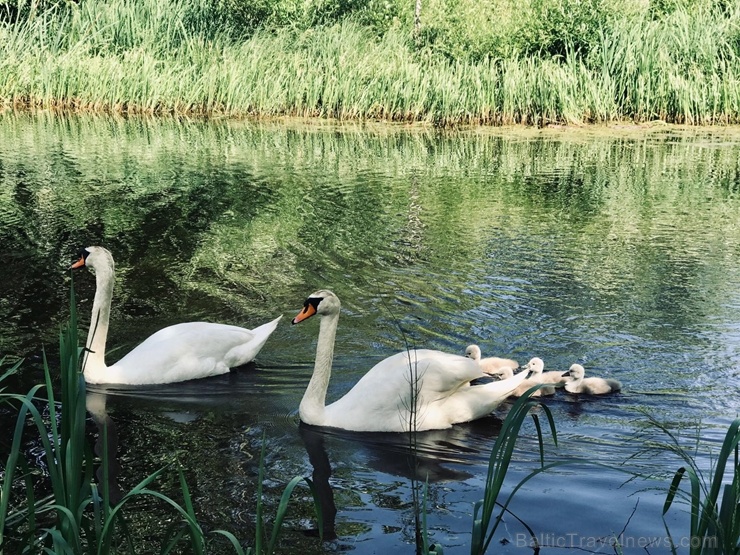 Preiļu pils ir viena no Preiļu muižas kompleksa ēkām – izcilākā, krāšņākā un iespaidīgākā 268533