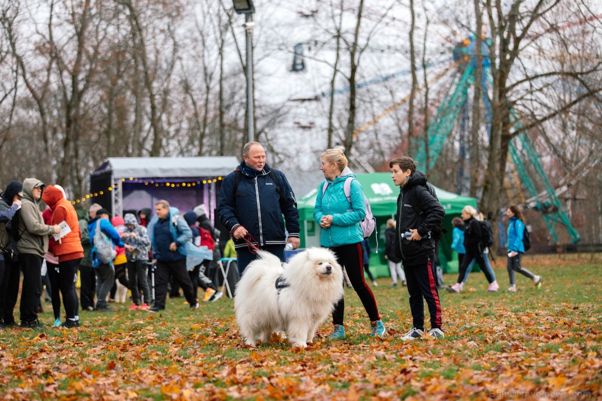 Spītējot drēgnajam un lietainajam laikam, Siguldas 