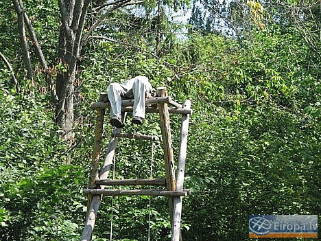 Pirms pāris gadiem parkā notika koktēlnieku simpozijs, kura laikā iekārtots simboliska moku ieleja, kas veltīta 1905. gada traģiskajiem notikumiem 14714