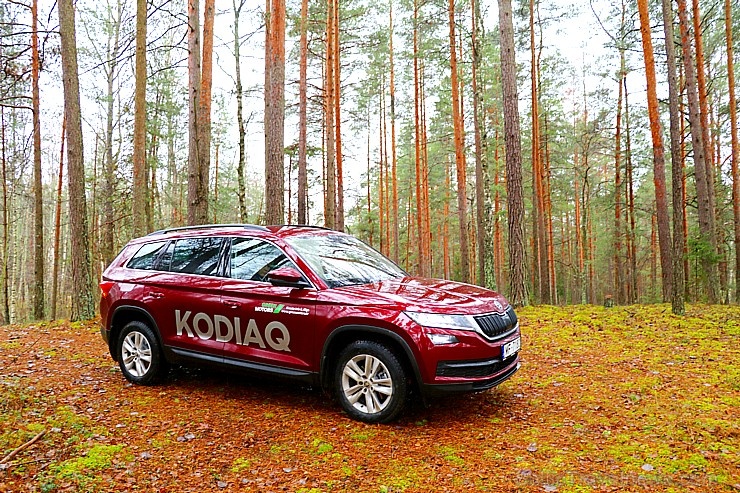 Travelnews.lv apceļo Latviju ar milzīgo «Škoda Kodiaq Ambition 1,5 TSI» 270741