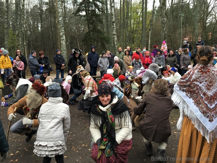 Latvijas Etnogrāfiskajā brīvdabas muzejā Mārtiņdienā norisinājās krāšņas svinības 270842