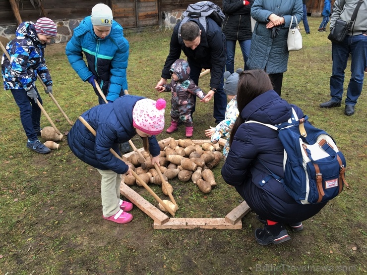 Latvijas Etnogrāfiskajā brīvdabas muzejā Mārtiņdienā norisinājās krāšņas svinības 270858