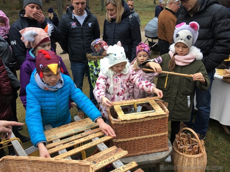 Latvijas Etnogrāfiskajā brīvdabas muzejā Mārtiņdienā norisinājās krāšņas svinības 270866