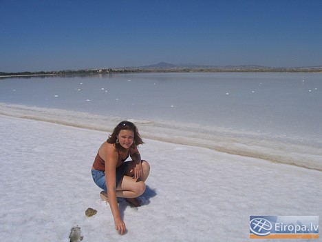 Larnakas sāls ezers ir viena no svarīgākajām ūdens putnu apmetnēm Eiropā. Migrācijas periodā te apmetas flamingo, meža pīles un citi putni 14763