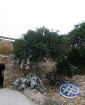 Visā Kiprā, kā arī pie Afrodītes klintīm ir redzmi tā dēvētie lūgšanu koki. Tam piesienot lenti un kaut ko ievēloties, vēlēšanās piepildoties. Cilvēki 3