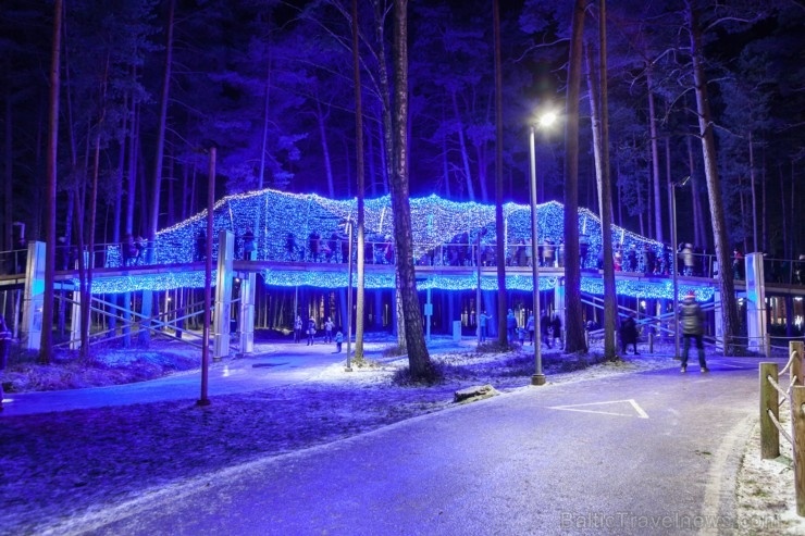 Jau trešo gadu Jūrmalā, Dzintaru mežaparkā, iemirdzējušās gaismas skulptūras un dekori, veidoti no tūkstošiem LED lampiņu virtenēm 272643