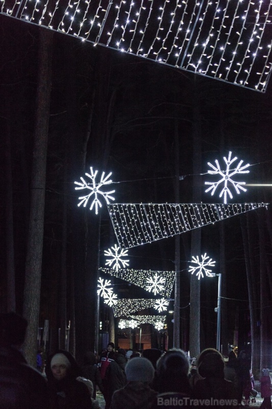 Jau trešo gadu Jūrmalā, Dzintaru mežaparkā, iemirdzējušās gaismas skulptūras un dekori, veidoti no tūkstošiem LED lampiņu virtenēm 272646