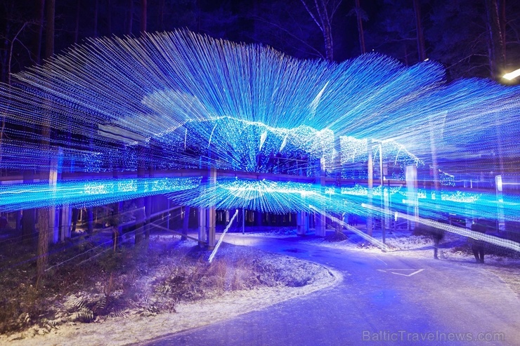 Jau trešo gadu Jūrmalā, Dzintaru mežaparkā, iemirdzējušās gaismas skulptūras un dekori, veidoti no tūkstošiem LED lampiņu virtenēm 272647