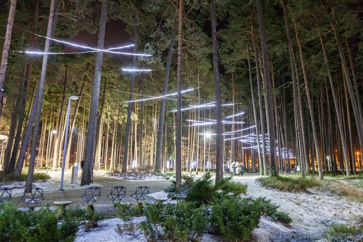 Jau trešo gadu Jūrmalā, Dzintaru mežaparkā, iemirdzējušās gaismas skulptūras un dekori, veidoti no tūkstošiem LED lampiņu virtenēm 272648