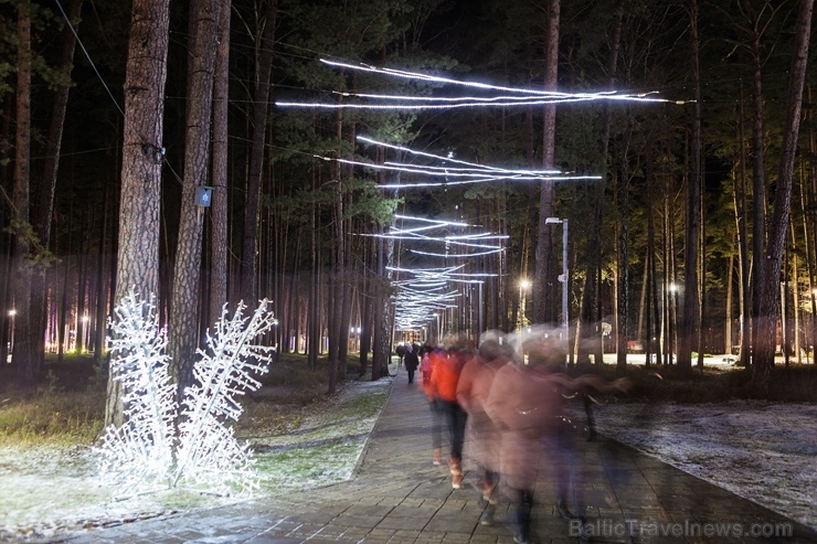 Jau trešo gadu Jūrmalā, Dzintaru mežaparkā, iemirdzējušās gaismas skulptūras un dekori, veidoti no tūkstošiem LED lampiņu virtenēm 272651