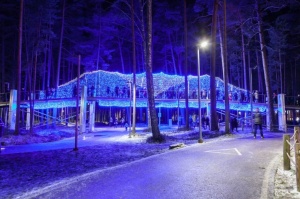 Jau trešo gadu Jūrmalā, Dzintaru mežaparkā, iemirdzējušās gaismas skulptūras un dekori, veidoti no tūkstošiem LED lampiņu virtenēm 1