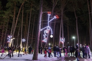 Jau trešo gadu Jūrmalā, Dzintaru mežaparkā, iemirdzējušās gaismas skulptūras un dekori, veidoti no tūkstošiem LED lampiņu virtenēm 2