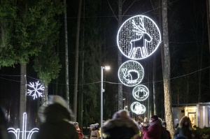 Jau trešo gadu Jūrmalā, Dzintaru mežaparkā, iemirdzējušās gaismas skulptūras un dekori, veidoti no tūkstošiem LED lampiņu virtenēm 3