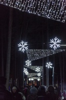 Jau trešo gadu Jūrmalā, Dzintaru mežaparkā, iemirdzējušās gaismas skulptūras un dekori, veidoti no tūkstošiem LED lampiņu virtenēm 4