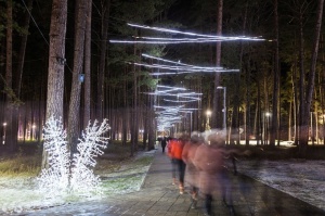 Jau trešo gadu Jūrmalā, Dzintaru mežaparkā, iemirdzējušās gaismas skulptūras un dekori, veidoti no tūkstošiem LED lampiņu virtenēm 9