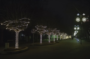 Ogres pilsēta Ziemassvētku gaidīšanas laikā ir mirdzošu lampiņu ieskauta 5