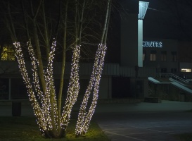 Ogres pilsēta Ziemassvētku gaidīšanas laikā ir mirdzošu lampiņu ieskauta 6