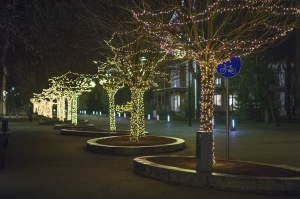 Ogres pilsēta Ziemassvētku gaidīšanas laikā ir mirdzošu lampiņu ieskauta 20
