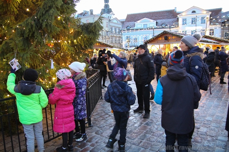 Igaunijas galvaspilsētā Tallinā valda Ziemassvētku noskaņa 272816