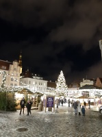Igaunijas galvaspilsētā Tallinā valda Ziemassvētku noskaņa 5