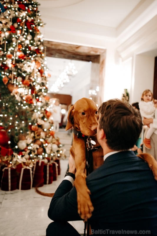 Viesnīca Grand Hotel Kempinski turpinot tradīciju pulcē rīdziniekus uz svinīgo Ziemassvētku egles iedegšanas ceremoniju 272845