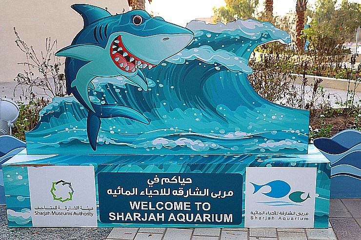 Travelnews.lv apmeklē zemūdens pasauli «Sharjah Aquarium». Atbalsta: VisitSharjah.com un Novatours.lv 272944