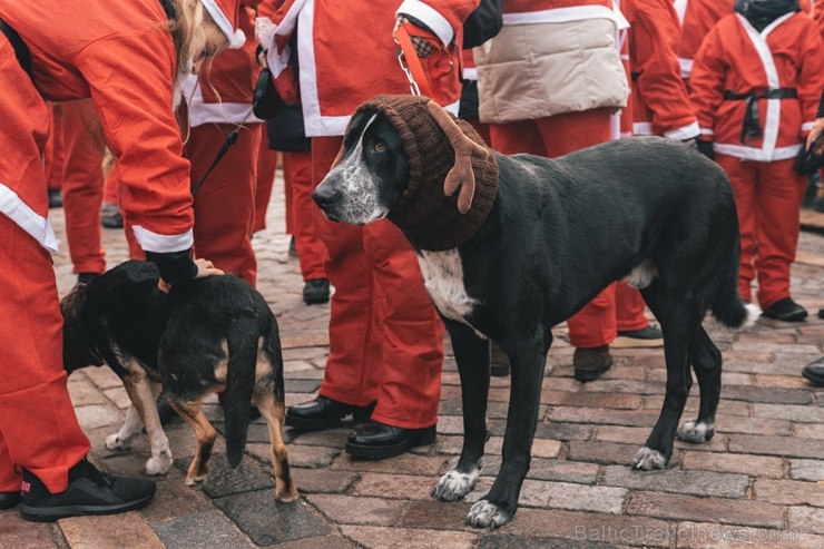 Ziemassvētku vecīšu labdarības skrējiens ir pozitīvām emocijām piepildīts pasākums, kurā ik gadu piedalās simtiem jautru dalībnieku ar mērķi palīdzēt  273092